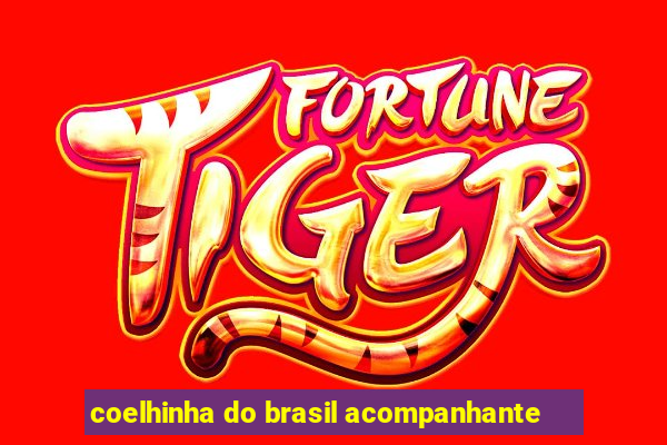 coelhinha do brasil acompanhante